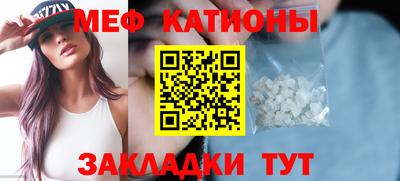 мдпв Камышлов