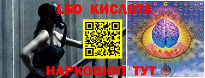 бошки Кимры