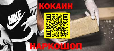 прущие грибы Кандалакша