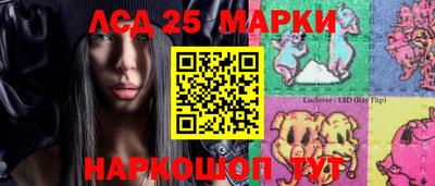 прущие грибы Кандалакша