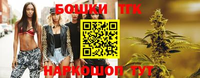 прущие грибы Кандалакша