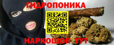 мдпв Камышлов