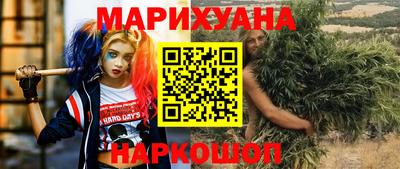прущие грибы Кандалакша