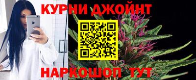 мдпв Камышлов