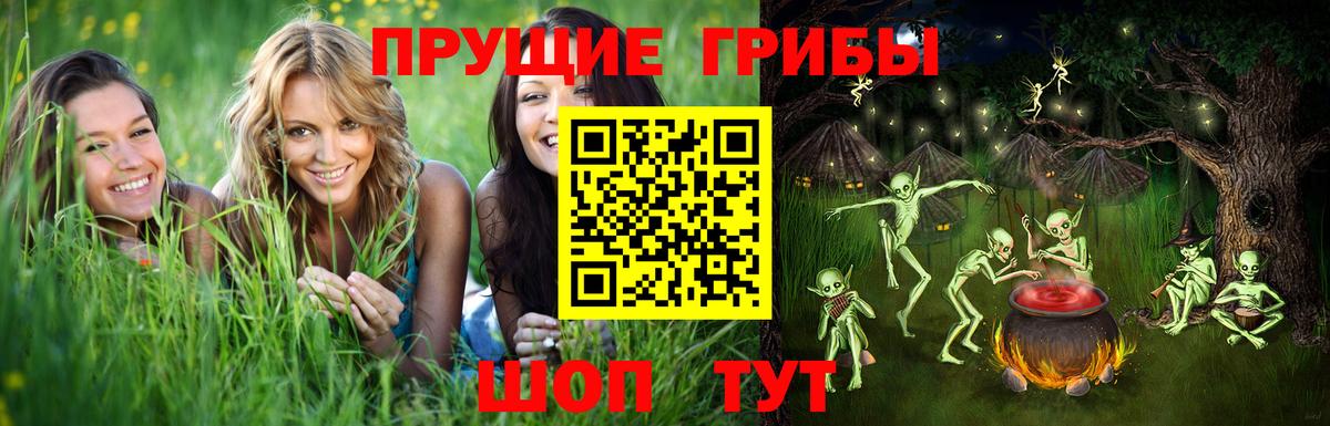 Псилоцибиновые грибы Psilocybe  Псилоцибиновые грибы Magic Shrooms  Вход с VPN  Георгиевск 